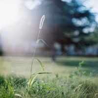 风景静物头像_生活中那些美好的风景静物