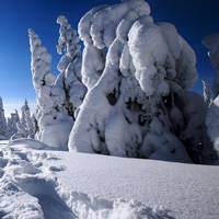 微信头像雪景图片大全