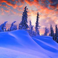 微信头像雪景图片大全