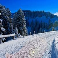 微信头像雪景图片大全