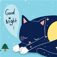 卡通猫咪说晚安的头像_Good Night