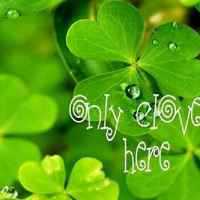 四叶草清新的微信头像_属于四叶草的陪伴