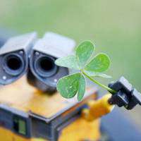 四叶草清新的微信头像_属于四叶草的陪伴