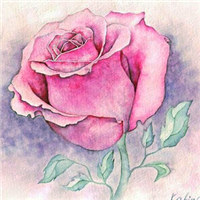 微信头像图片花_好看的手绘漫画花头像图片