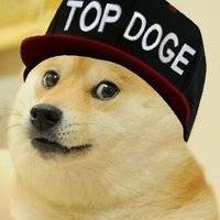 适合微信用的微信doge表情头像