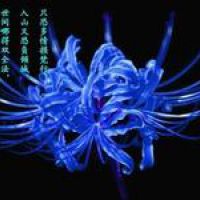 彼岸花头像 记忆中的美好回忆