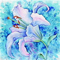 微信头像图片花_好看的手绘漫画花头像图片