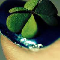 四叶草清新的微信头像_属于四叶草的陪伴