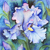 微信头像图片花_好看的手绘漫画花头像图片