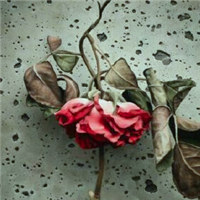 微信头像图片花_好看的手绘漫画花头像图片