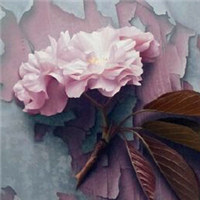 微信头像图片花_好看的手绘漫画花头像图片