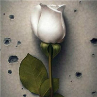 微信头像图片花_好看的手绘漫画花头像图片