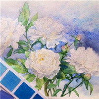 微信头像图片花_好看的手绘漫画花头像图片