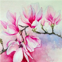 微信头像图片花_好看的手绘漫画花头像图片