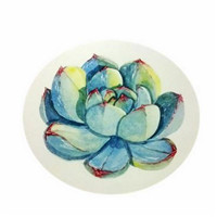 好看的手绘多肉植物头像图片