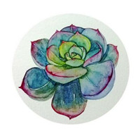 好看的手绘多肉植物头像图片