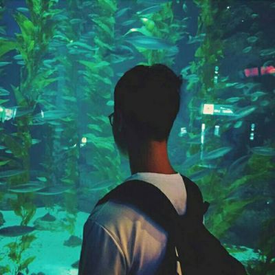 唯美情头小清新，爱情不期而遇