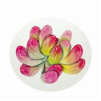 好看的手绘多肉植物头像图片