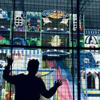 唯美情头小清新，爱情不期而遇