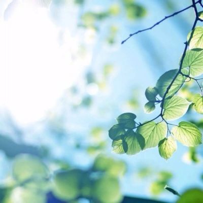 高清微信唯美头像图片