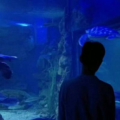 唯美情头小清新，爱情不期而遇