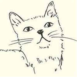 卡通猫咪头像简笔画