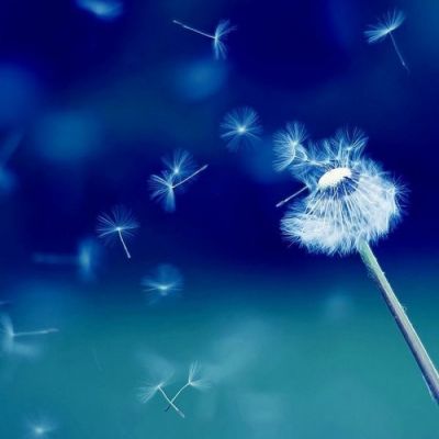 高清微信唯美头像图片