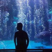 唯美情头小清新，爱情不期而遇