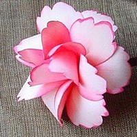 发簪头像图片大全