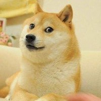 搞笑的柴犬doge表情图片头像