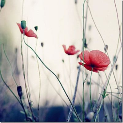 高清微信唯美头像图片