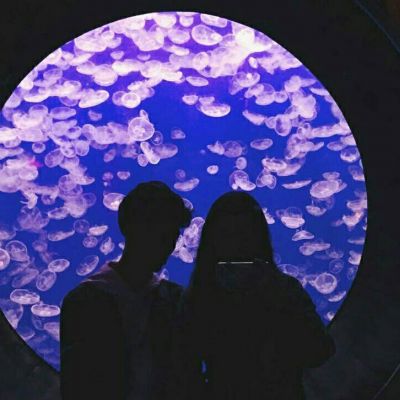 唯美情头小清新，爱情不期而遇