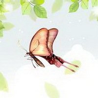 花朵蝴蝶头像_微信头像蝴蝶落在花上的照片