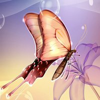 花朵蝴蝶头像_微信头像蝴蝶落在花上的照片