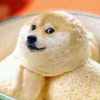 搞笑的柴犬doge表情图片头像
