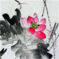 水墨荷花头像图片大全 中国风水墨荷花图片头像