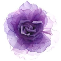 淡淡花香微信头像图片 淡淡的花香沁人心脾