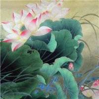 水墨荷花头像图片大全 中国风水墨荷花图片头像