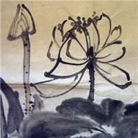 水墨荷花头像图片大全 中国风水墨荷花图片头像