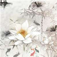 水墨荷花头像图片大全 中国风水墨荷花图片头像