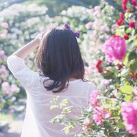 淡色小花儿头像 淡色简约的花儿