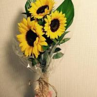 适合微信用的唯美向日葵头像图片