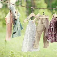 风景静物头像_生活中那些美好的风景静物