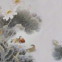 水墨荷花头像图片大全 中国风水墨荷花图片头像