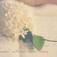 淡色小花儿头像 淡色简约的花儿