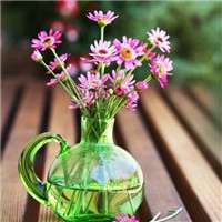 盆景微信头像_好看的微信盆景花头像图片