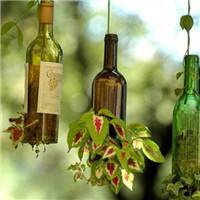 盆景微信头像_好看的微信盆景花头像图片