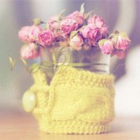 花朵清纯唯美头像_静静开放的美丽花朵