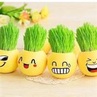 盆景微信头像_好看的微信盆景花头像图片