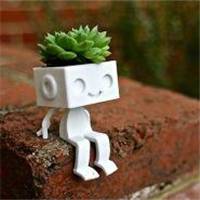 盆景微信头像_好看的微信盆景花头像图片